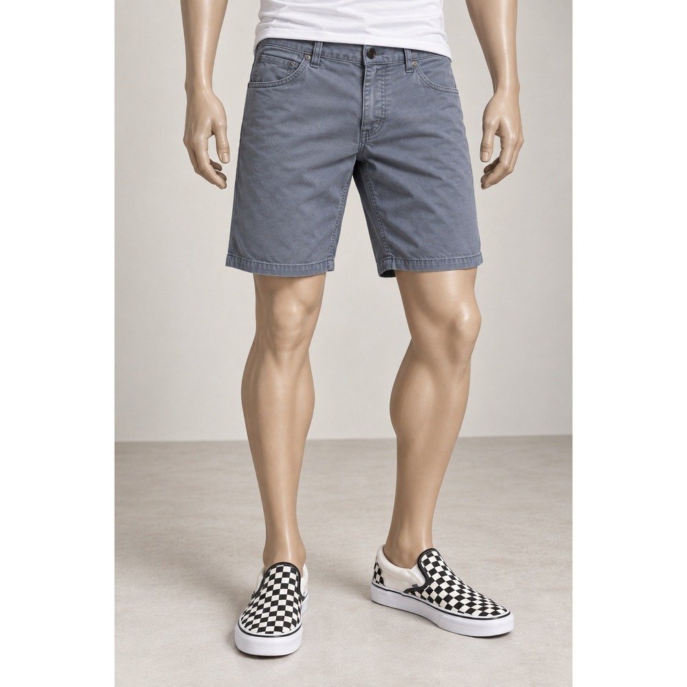 Vans Mens Chino Shorts Size 36 Gray Blue 5-Pocket Skate Casual Twill Walking